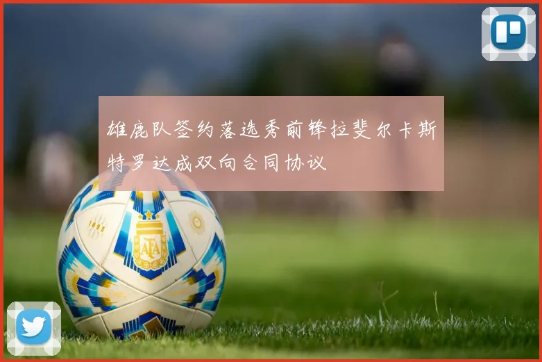 雄鹿队签约落选秀前锋拉斐尔卡斯特罗达成双向合同协议