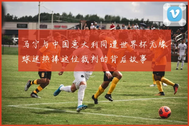 马宁与中国意大利同遭世界杯无缘球迷热捧这位裁判的背后故事