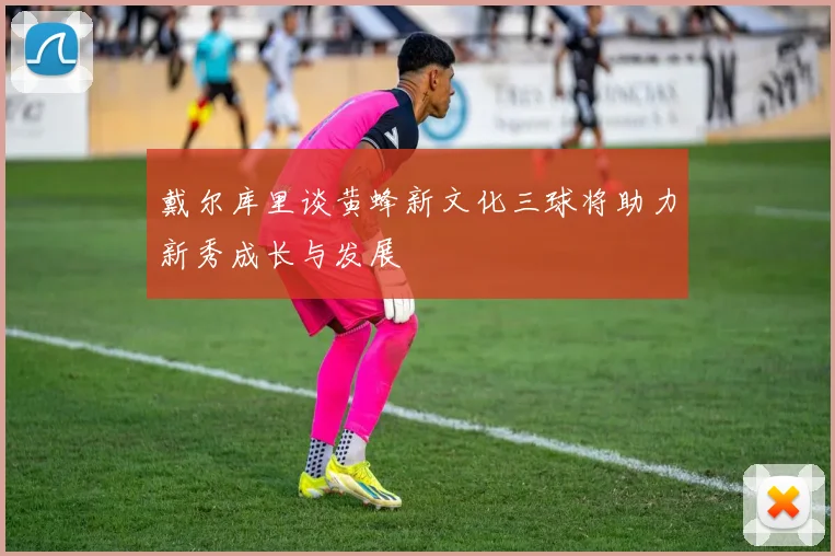 戴尔库里谈黄蜂新文化三球将助力新秀成长与发展